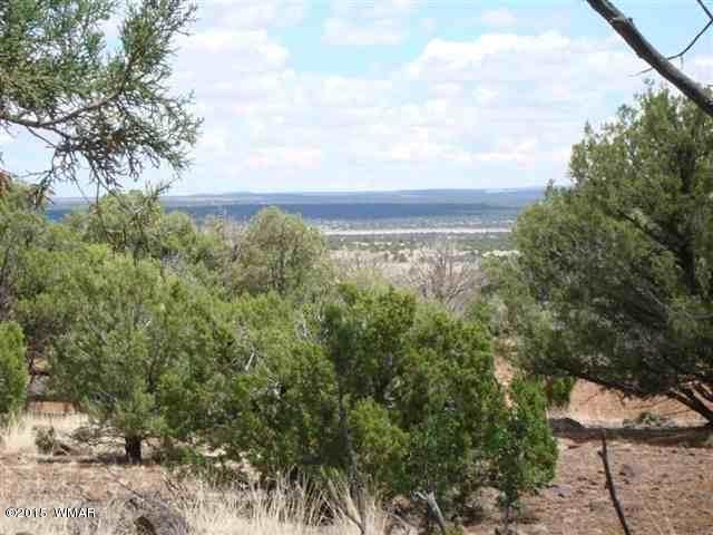 7972 Christmas Tree Road Show Low, AZ 85901 - Photo 4 of 5
