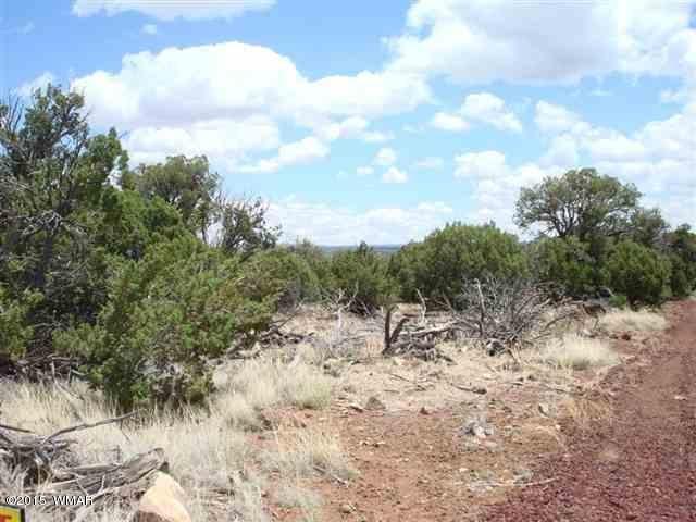7972 Christmas Tree Road Show Low, AZ 85901 - Photo 5 of 5