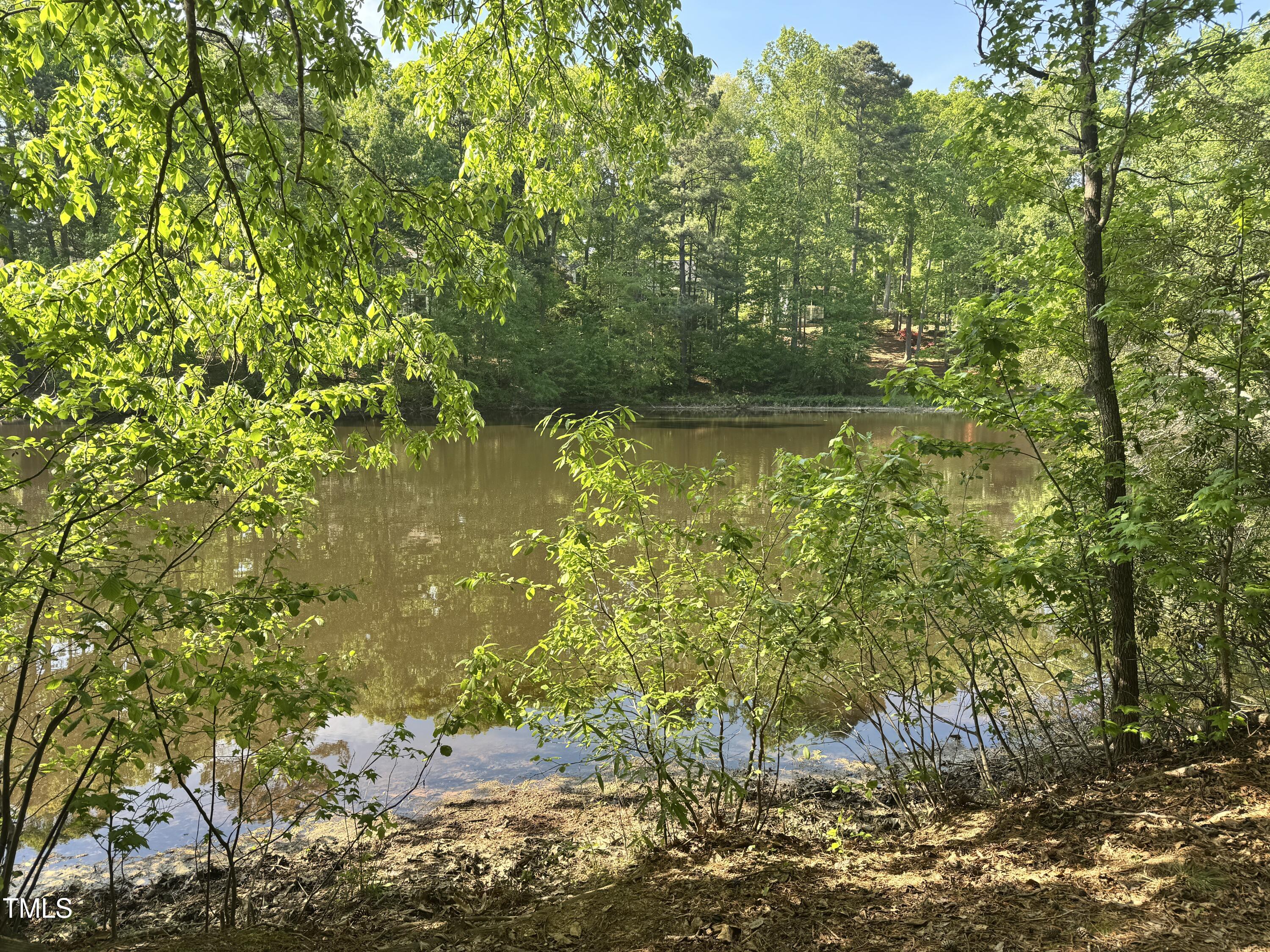 7825 Breckon Way Raleigh, NC 27615 - Photo 3 of 32 a view of a lake with a tree