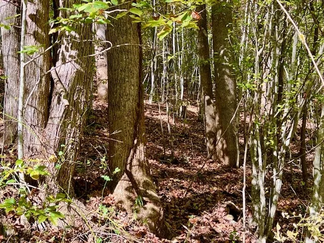 $290,000 | Tbd Upper Peachtree Road, Murphy, NC 28906