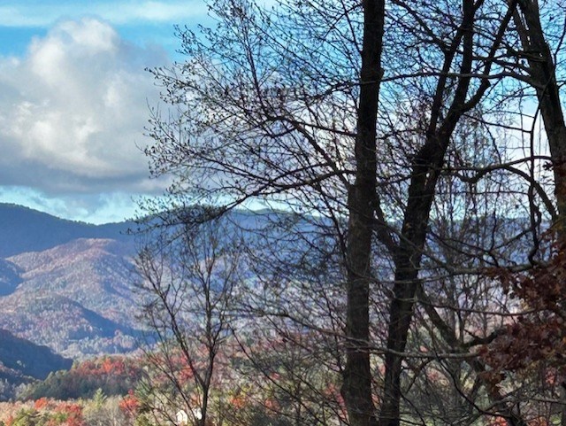 Tbd Upper Peachtree Road Murphy, NC 28906 - Photo 16 of 17