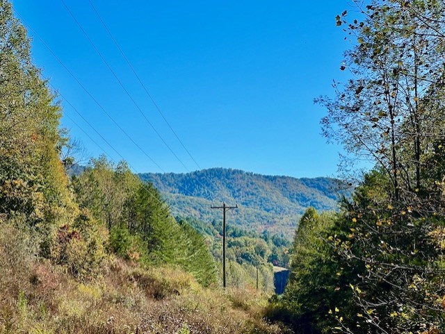 Tbd Upper Peachtree Road Murphy, NC 28906 - Photo 17 of 17