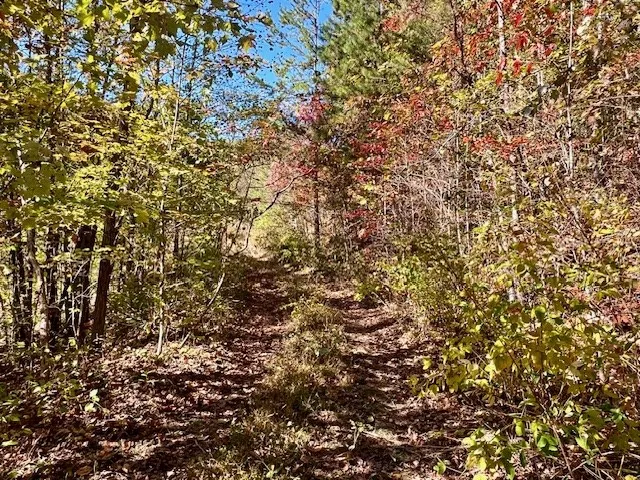 $290,000 | Tbd Upper Peachtree Road, Murphy, NC 28906