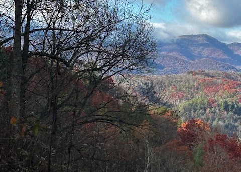 Tbd Upper Peachtree Road Murphy, NC 28906 - Photo 3 of 17