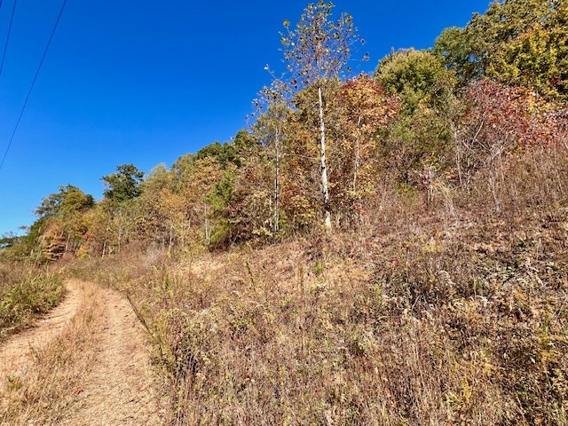 Tbd Upper Peachtree Road Murphy, NC 28906 - Photo 5 of 17