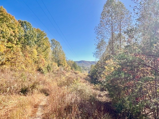 Tbd Upper Peachtree Road Murphy, NC 28906 - Photo 7 of 17