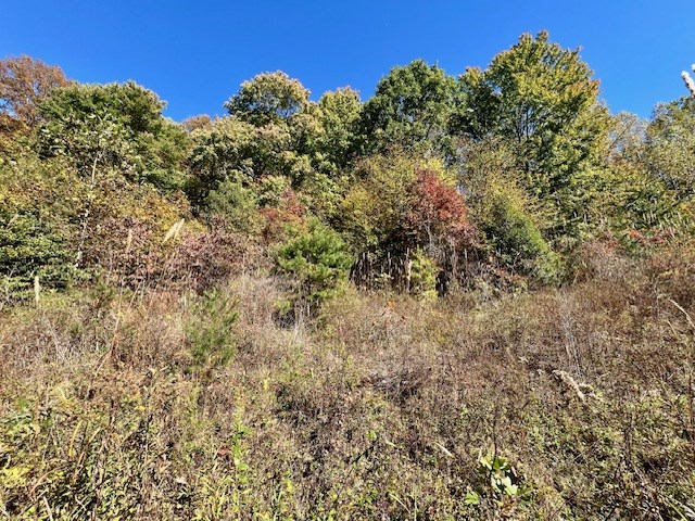 Tbd Upper Peachtree Road Murphy, NC 28906 - Photo 8 of 17