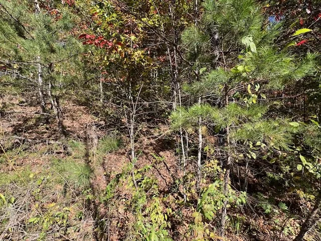 $290,000 | Tbd Upper Peachtree Road, Murphy, NC 28906