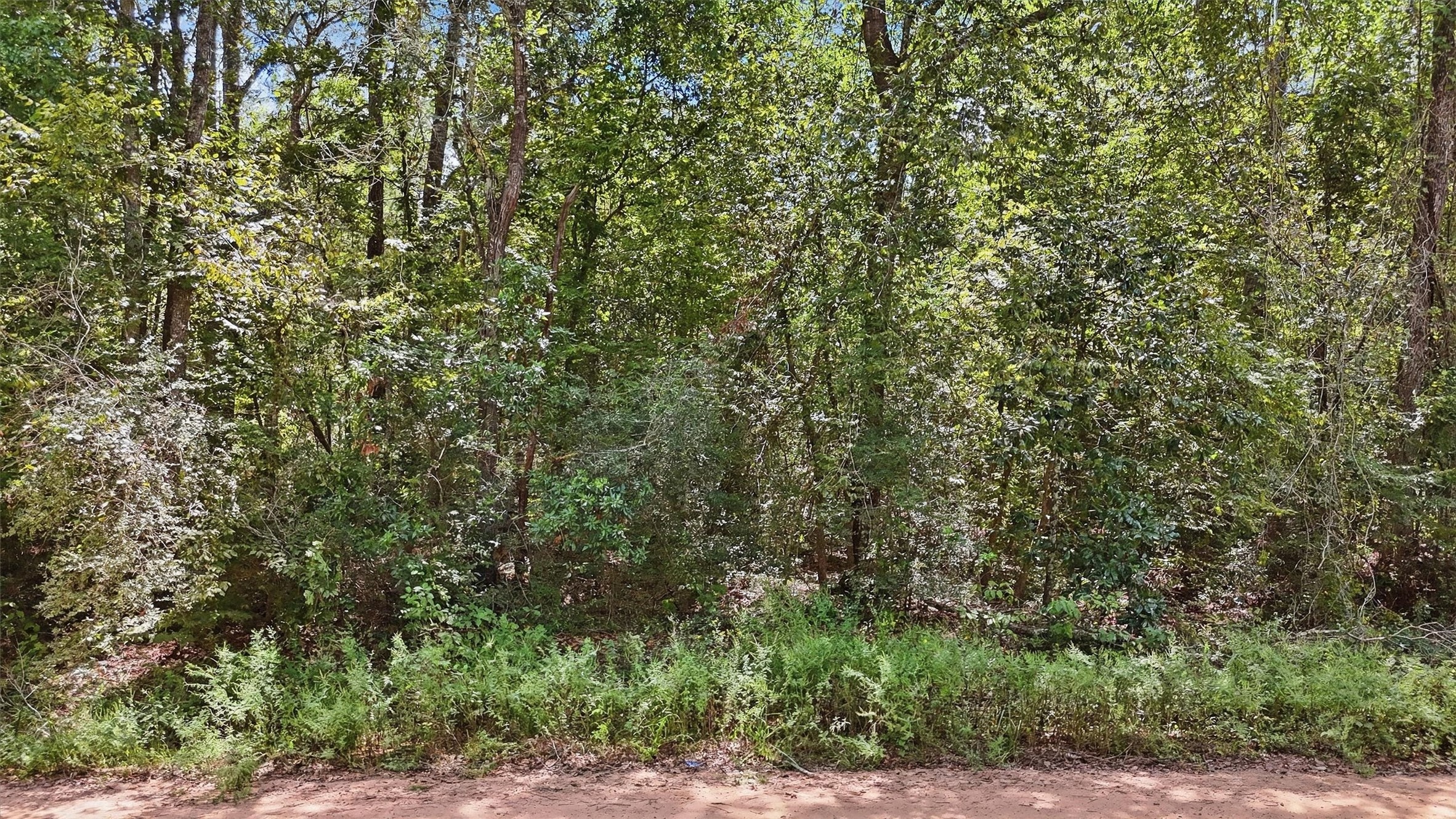 0 Josephine Road Livingston, TX 77351 - Photo 16 of 17 Gallery Image 16