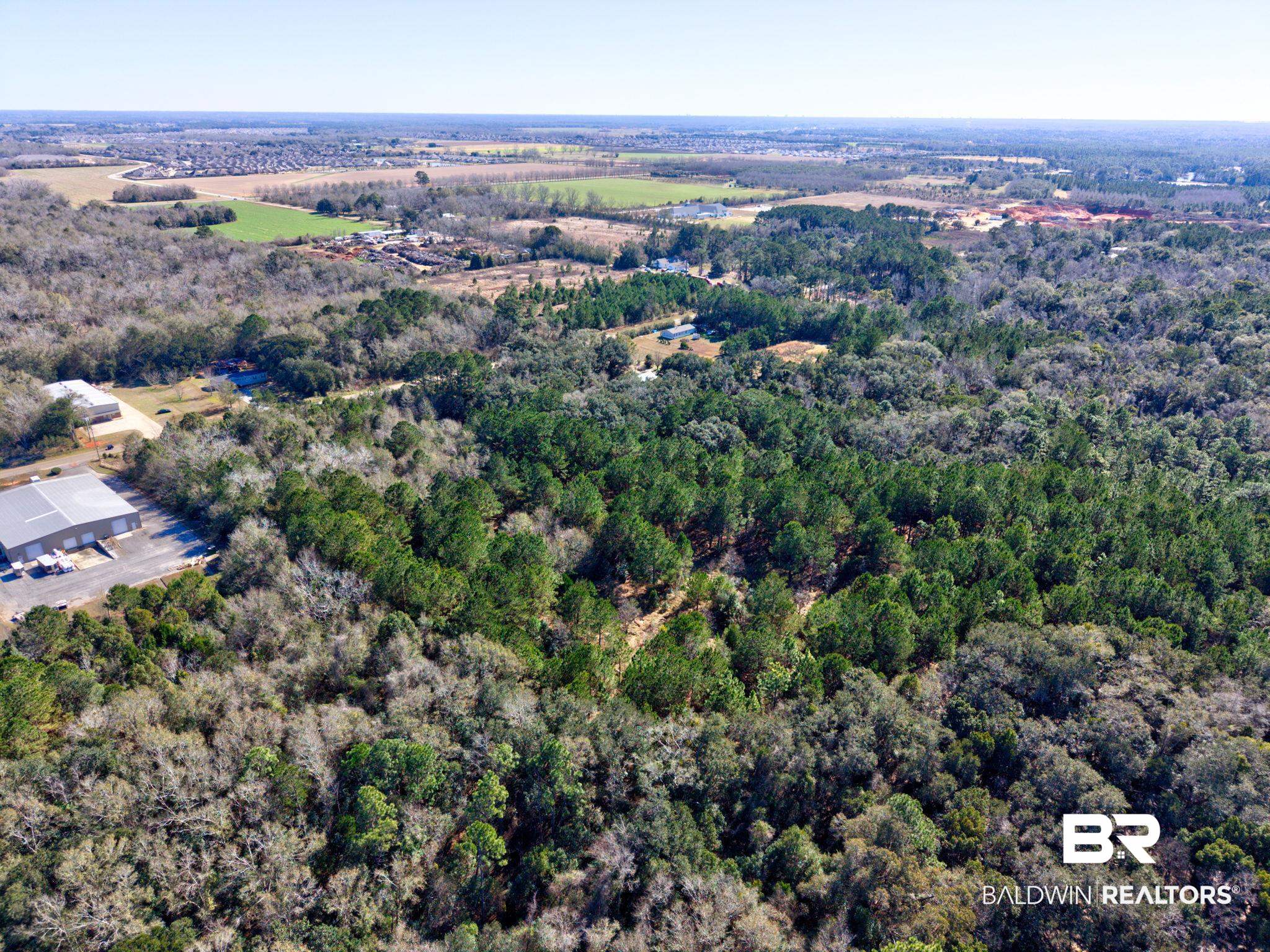 25280 Friendship Road Daphne, AL 36526 - Photo 20 of 34 Aerial view of property's location with a heavily wooded area