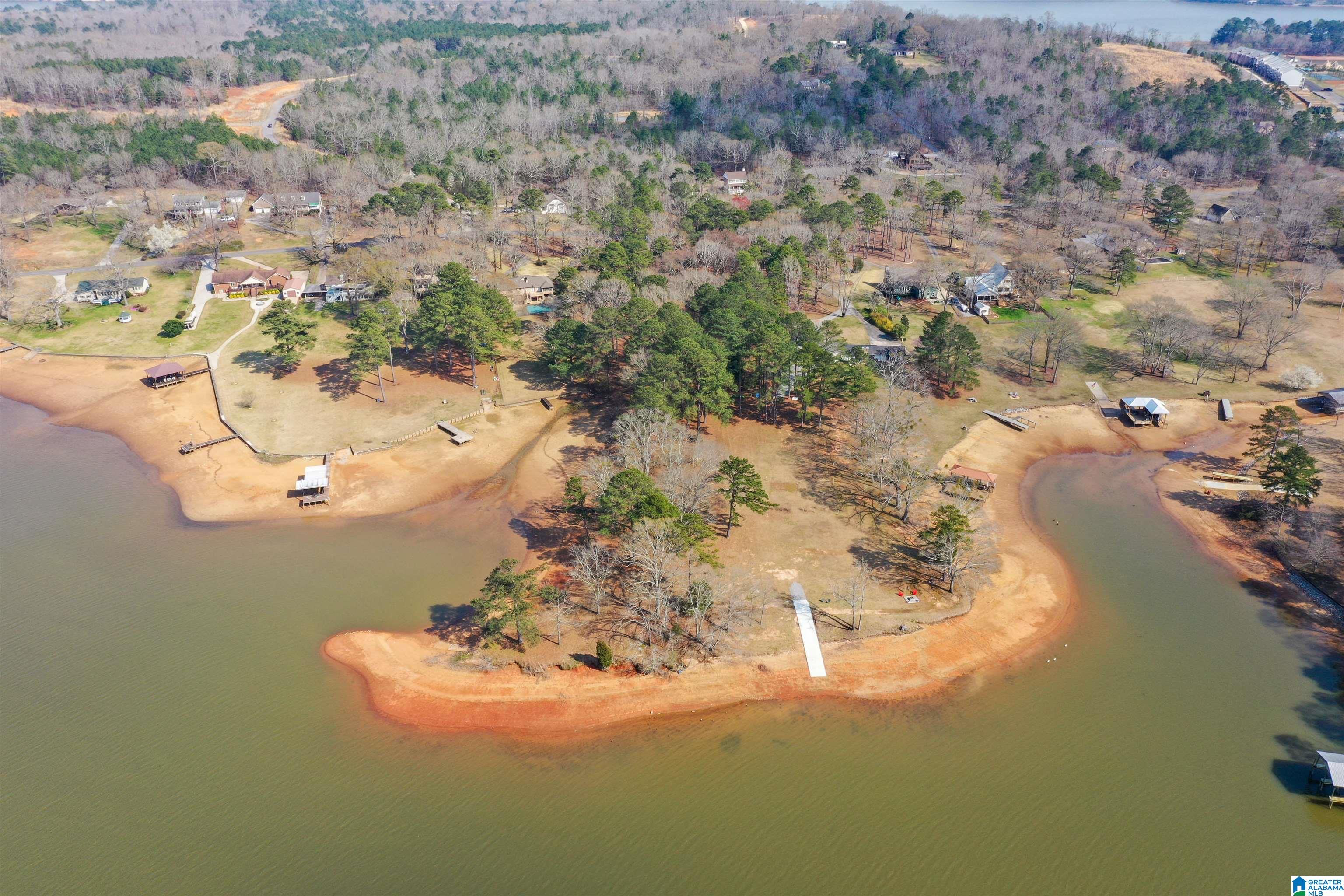 1600 Funderburg Bend Road Pell City, AL 35128 - Photo 1 of 49