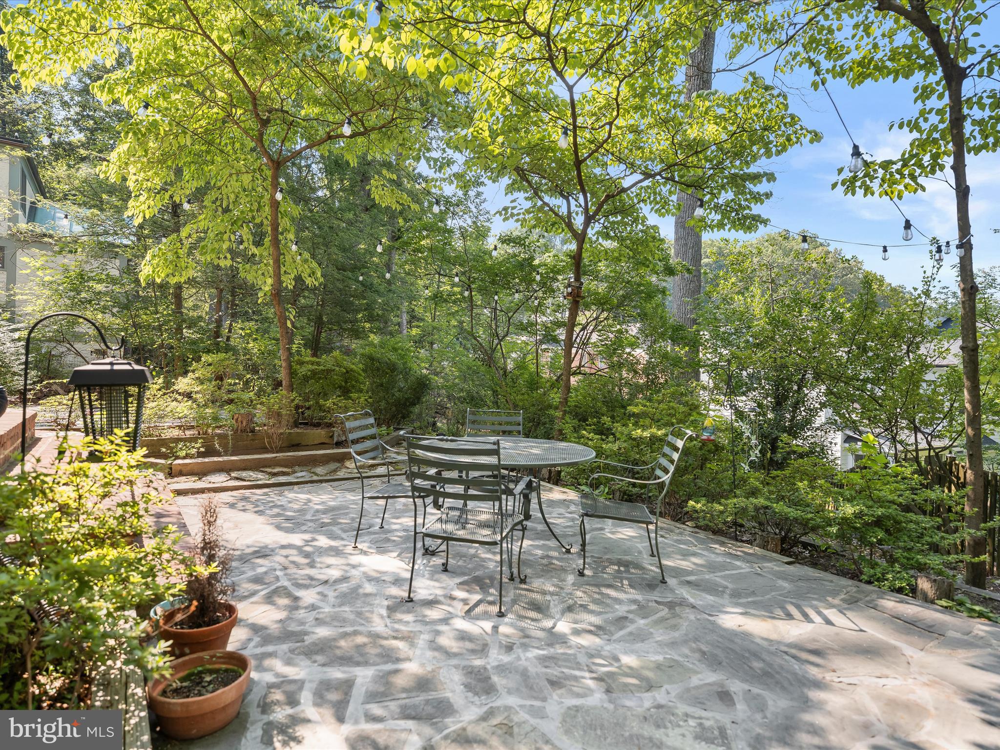 6310 Poe Road Bethesda, MD 20817 - Photo 19 of 46 Incredible, tranquil yard