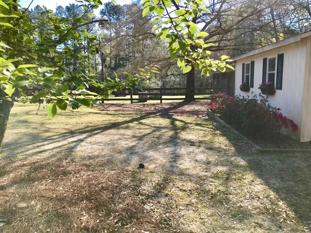 9802 County Line Road Midland, GA 31820 - Photo 11 of 15 a view of road with large trees