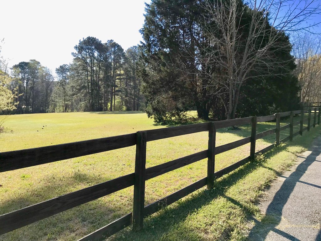 9802 County Line Road Midland, GA 31820 - Photo 12 of 15 a view of outdoor space and trees