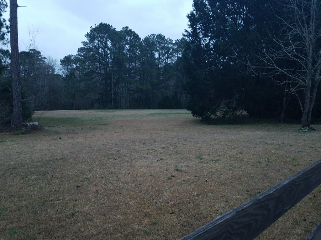 9802 County Line Road Midland, GA 31820 - Photo 14 of 15 a view of backyard with green space