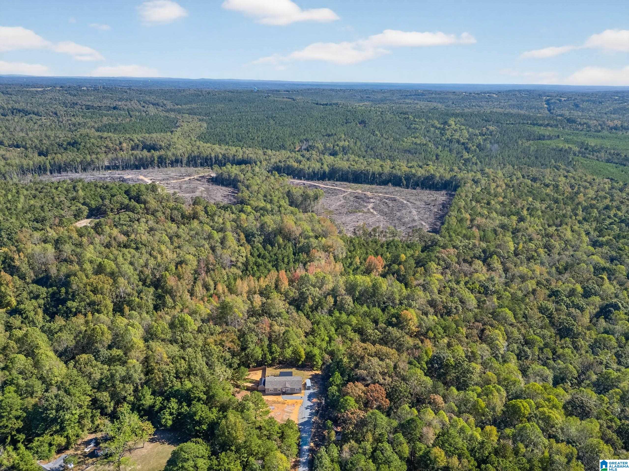 70 County Road 358 Clanton, AL 35045 - Photo 2 of 35