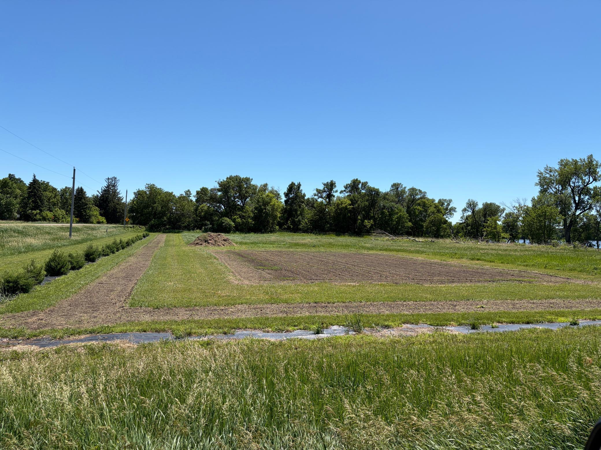 Tbd Tbd Tripp Fulda, MN 56131 - Photo 1 of 5