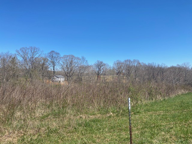0 Breeden Road Charlotte, TN 37036 - Photo 14 of 24 Gallery Image 14
