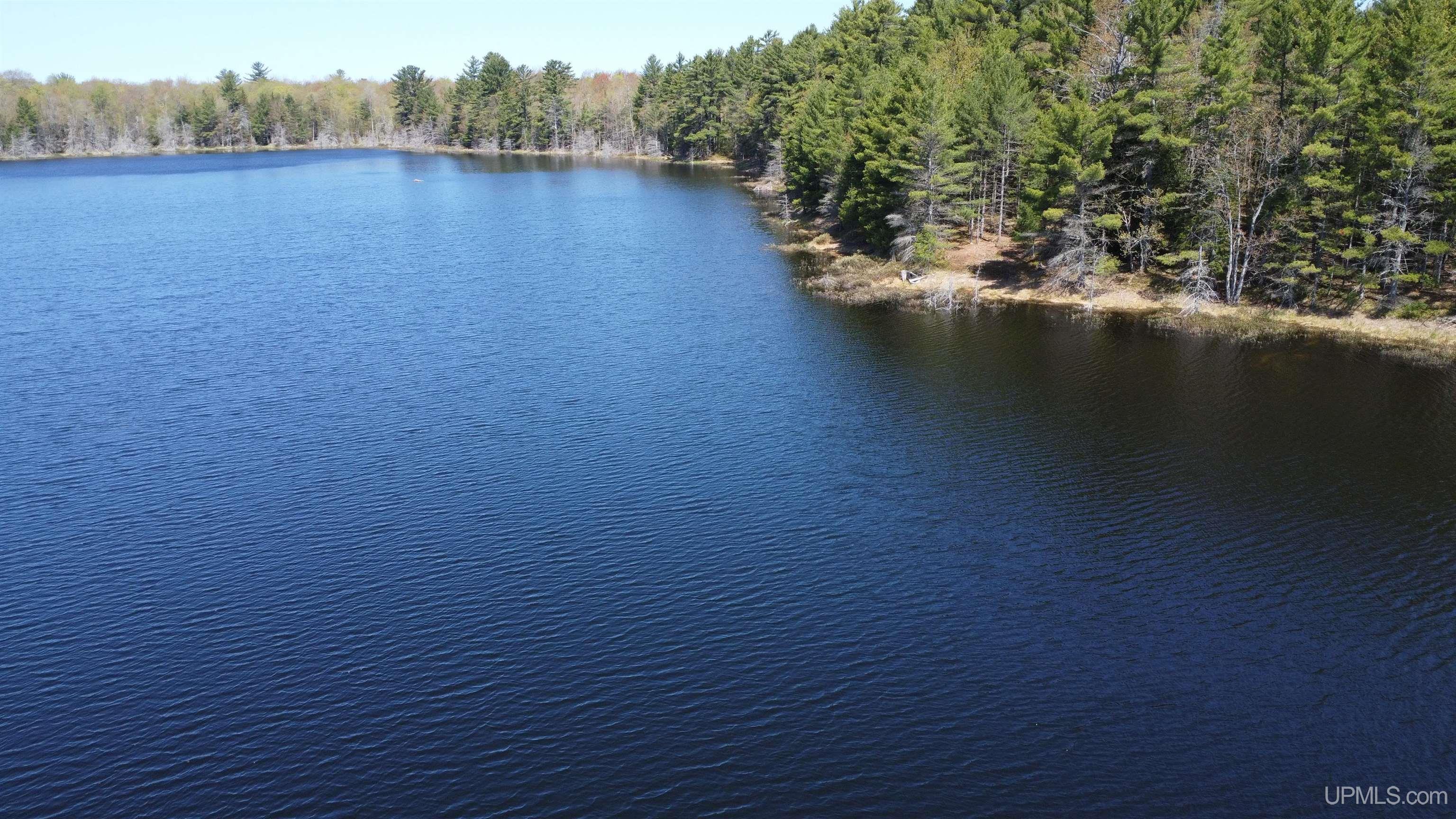 Off Adams Trail Shingleton, MI 49884 - Photo 4 of 46
