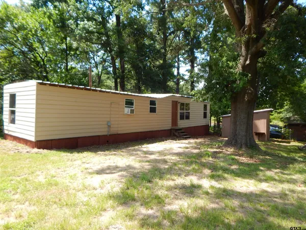a view of a backyard with large tree
