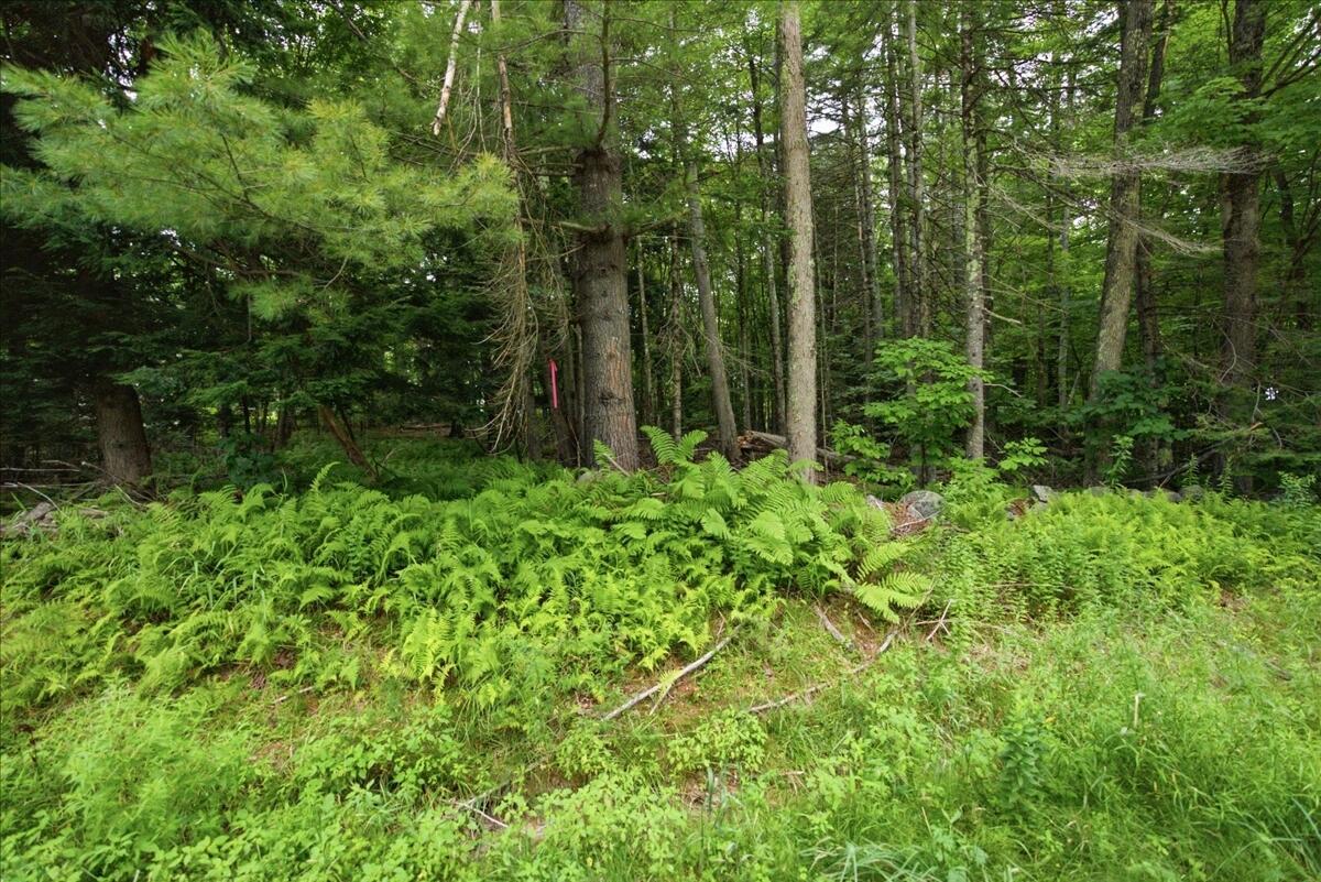 1135 Manchester Road Belgrade, ME 04917 - Photo 106 of 110 031-Exterior 01