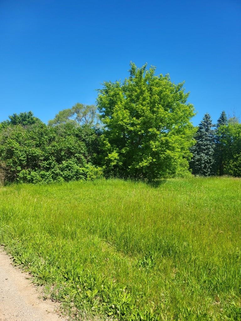 4957 East Valley Road Mount Pleasant, MI 48858 - Photo 6 of 6