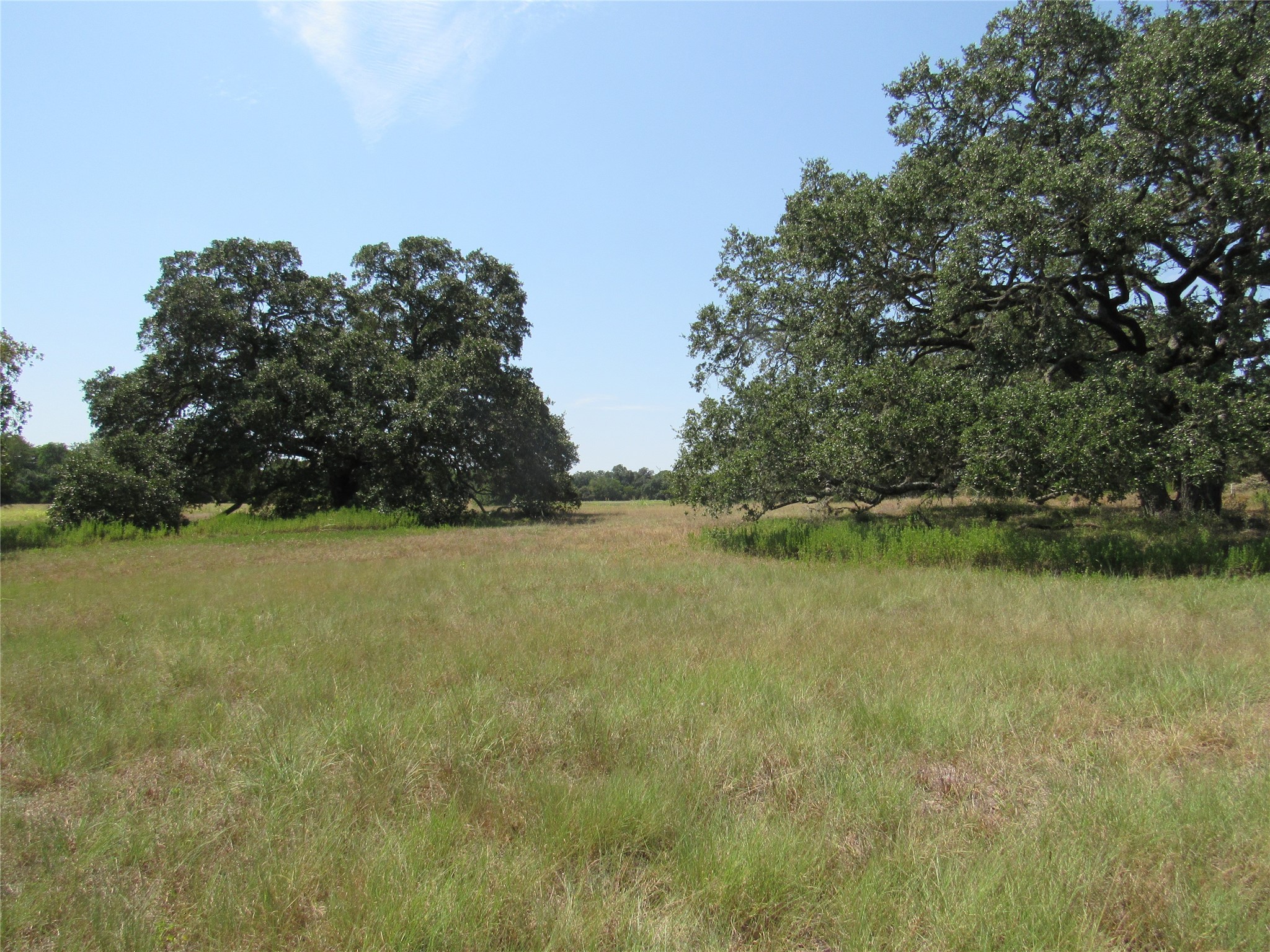 7863 FM 332 Road Brenham, TX 77833 - Photo 4 of 26 Gallery Image 4