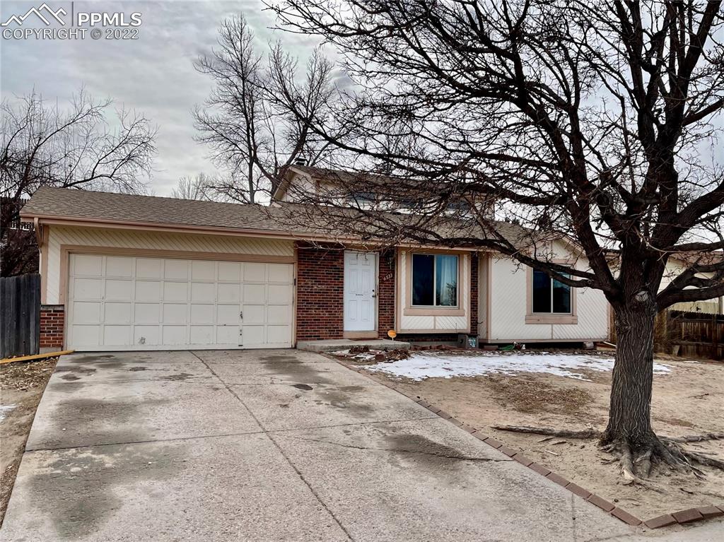 a house that has a tree in front of the house