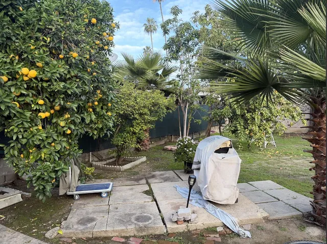 a view of a backyard with plants and a patio