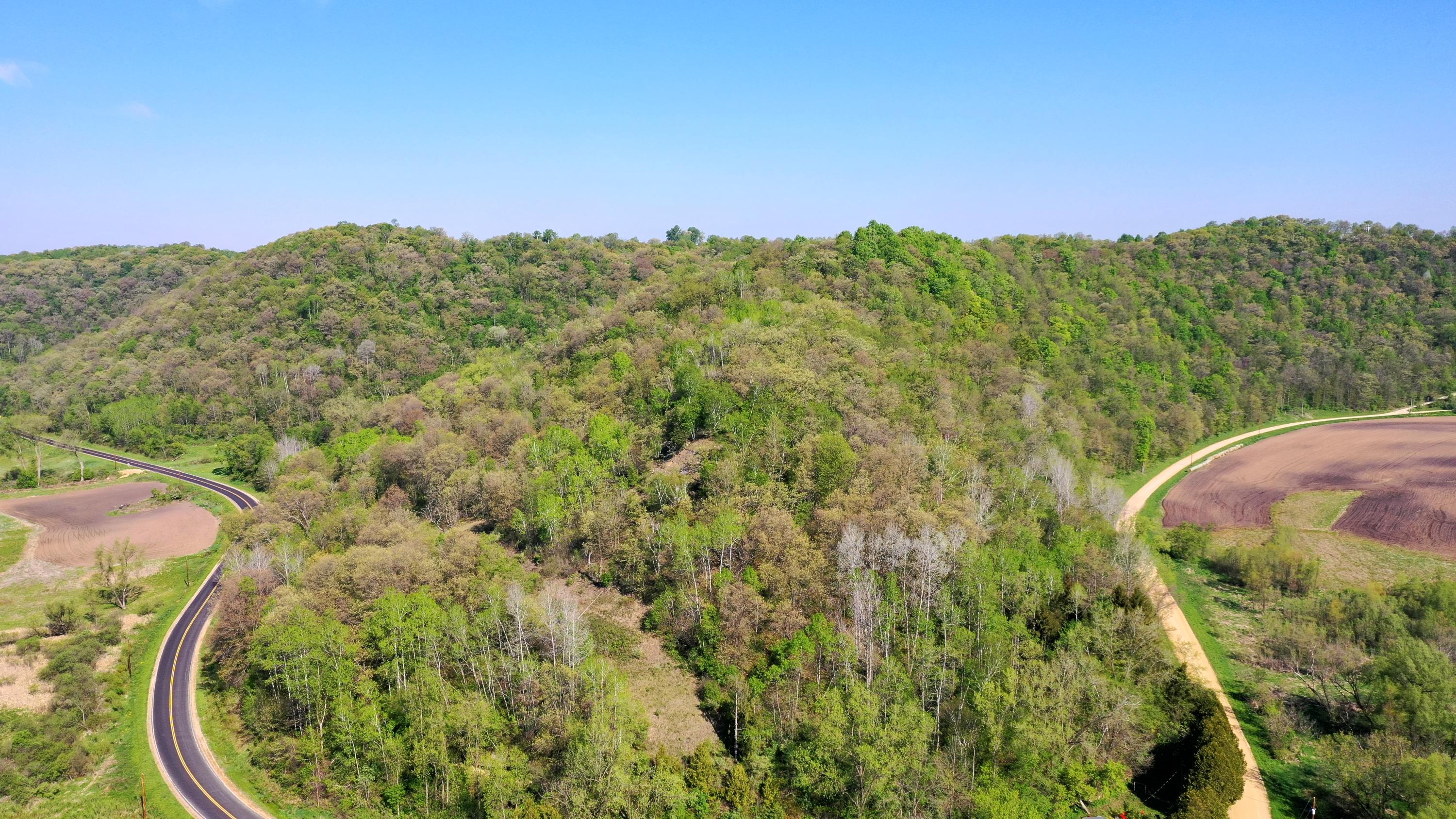 DJI_0358