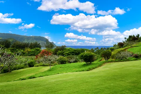 $1,625,000 | 5380 Honoiki Road, Unit F16 (#81012), Princeville, HI 96722