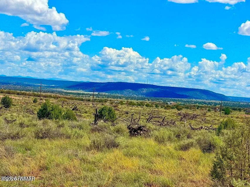 0 Hay Hollow Road Snowflake, AZ 85937 - Photo 15 of 20 Gallery Image 15