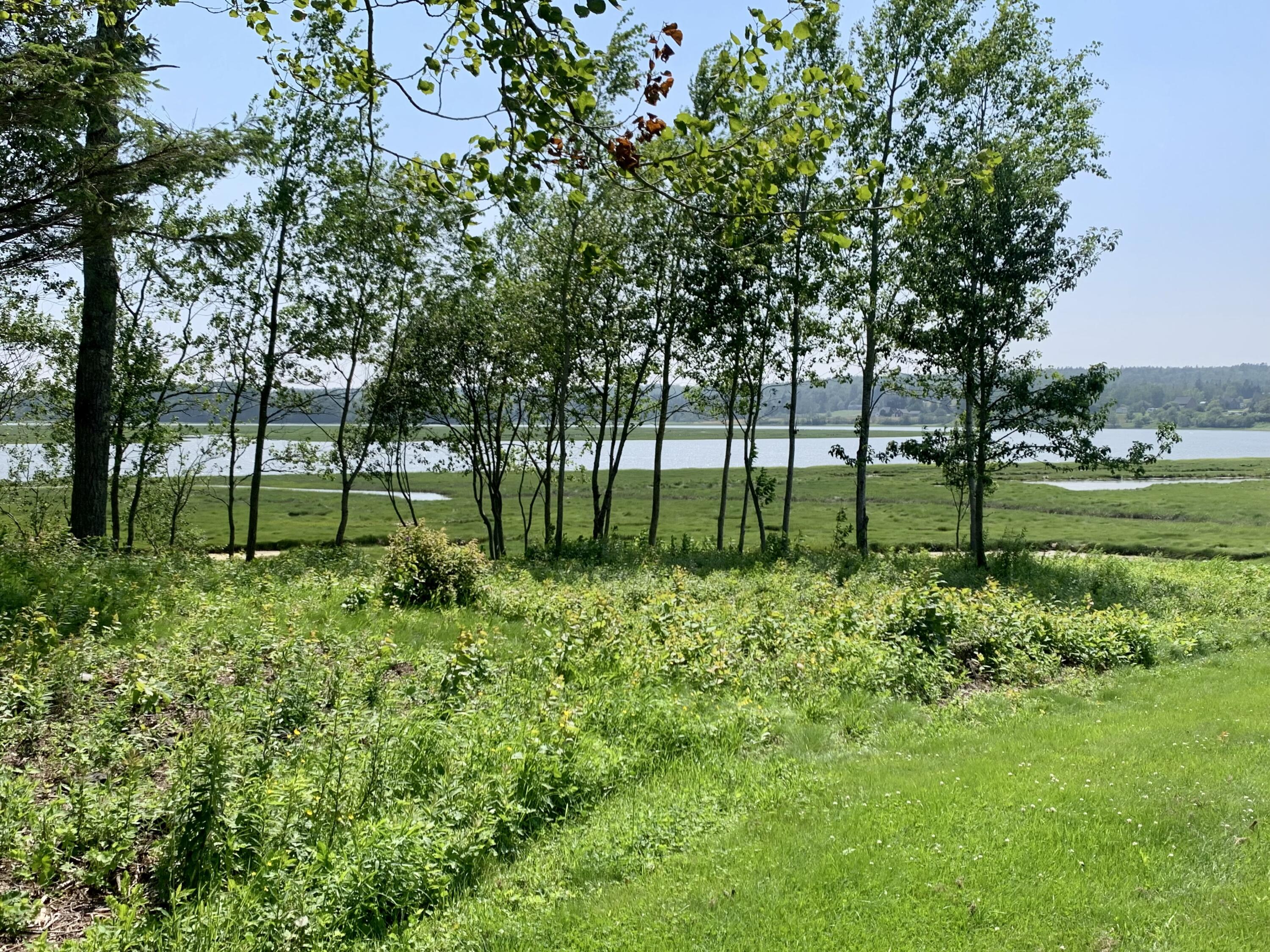 361 Water Street Addison, ME 04606 - Photo 12 of 80 IMG_9459