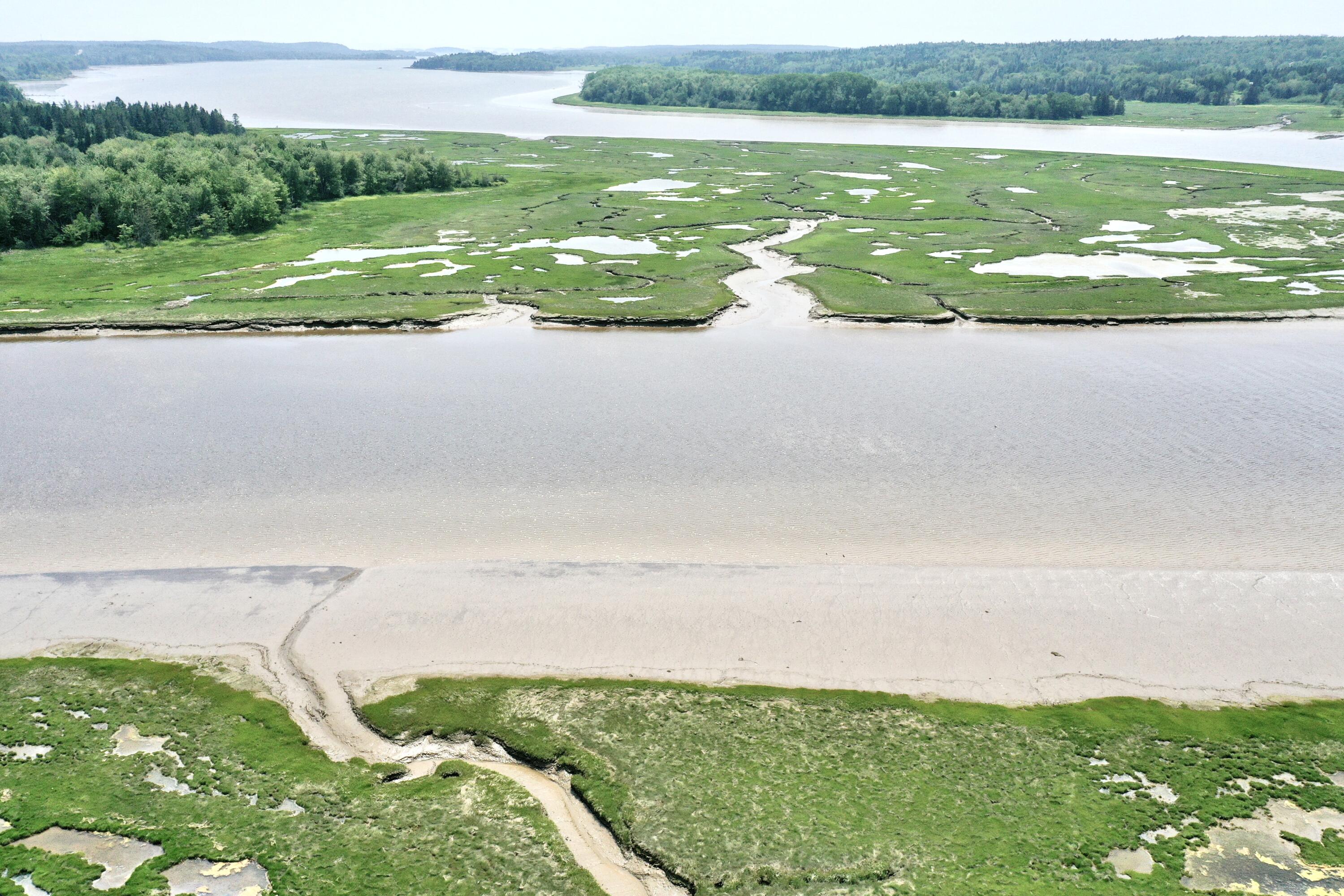 361 Water Street Addison, ME 04606 - Photo 13 of 80 ellery 10_edited