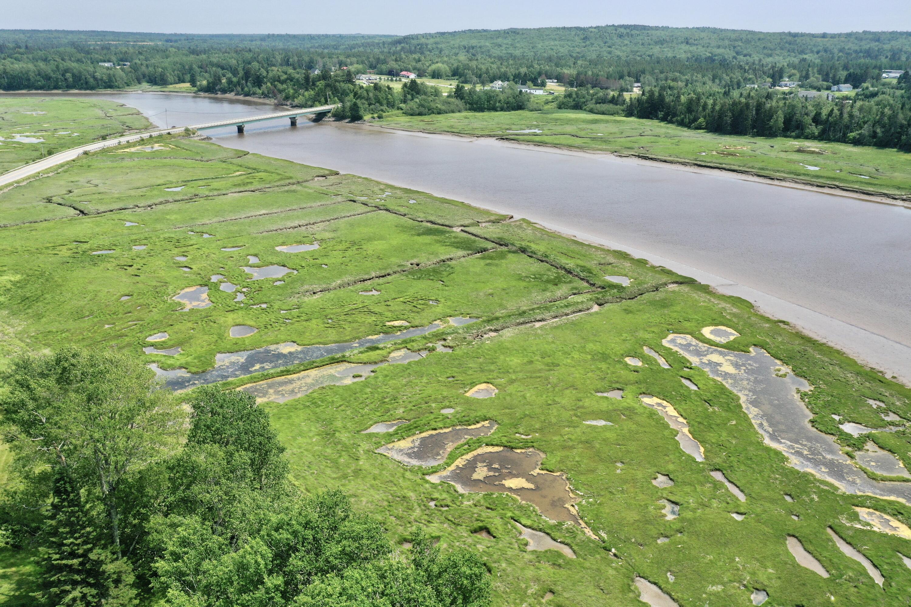 361 Water Street Addison, ME 04606 - Photo 18 of 80 ellery 9_edited