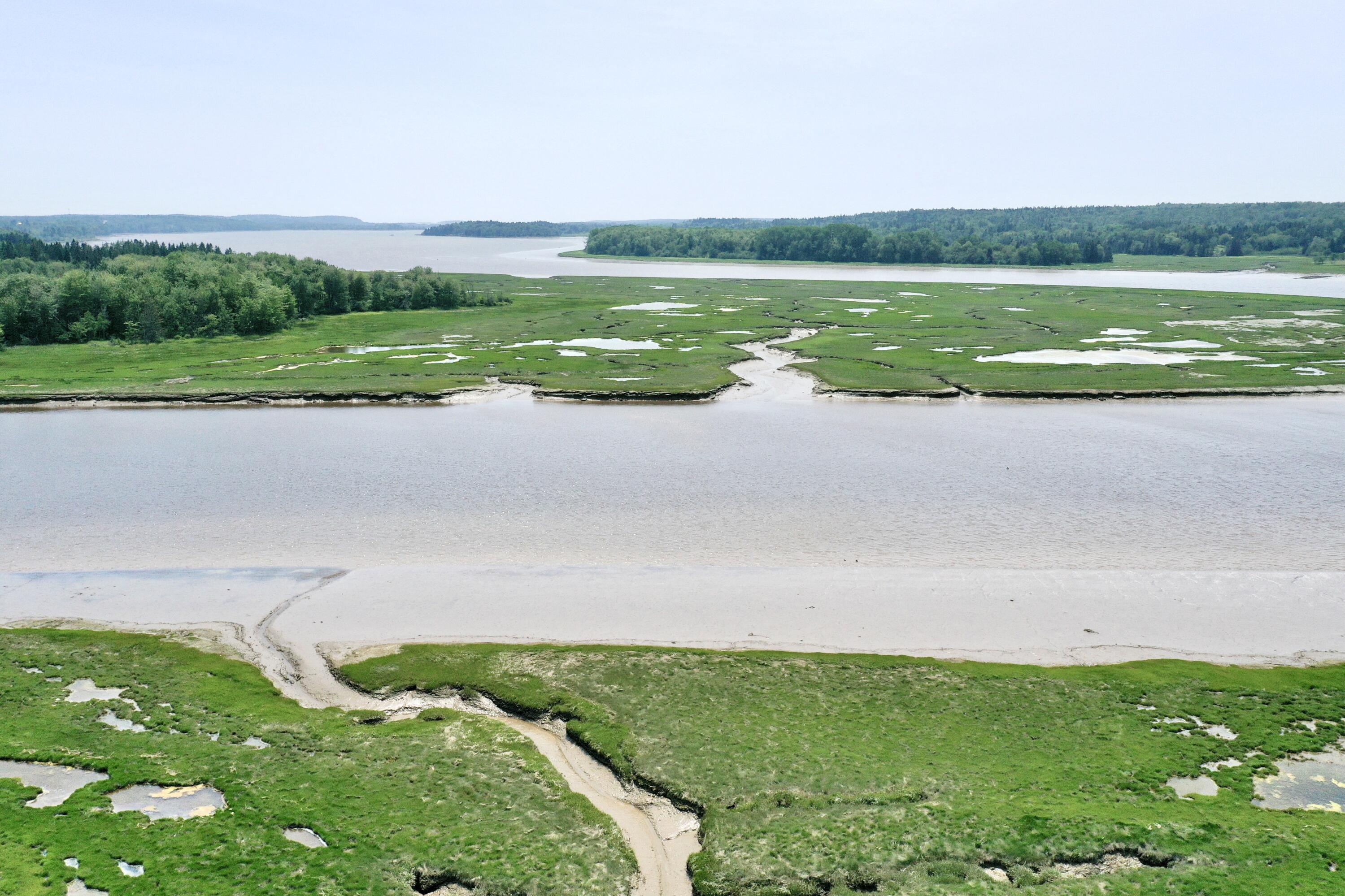 361 Water Street Addison, ME 04606 - Photo 21 of 80 ellery 11_edited