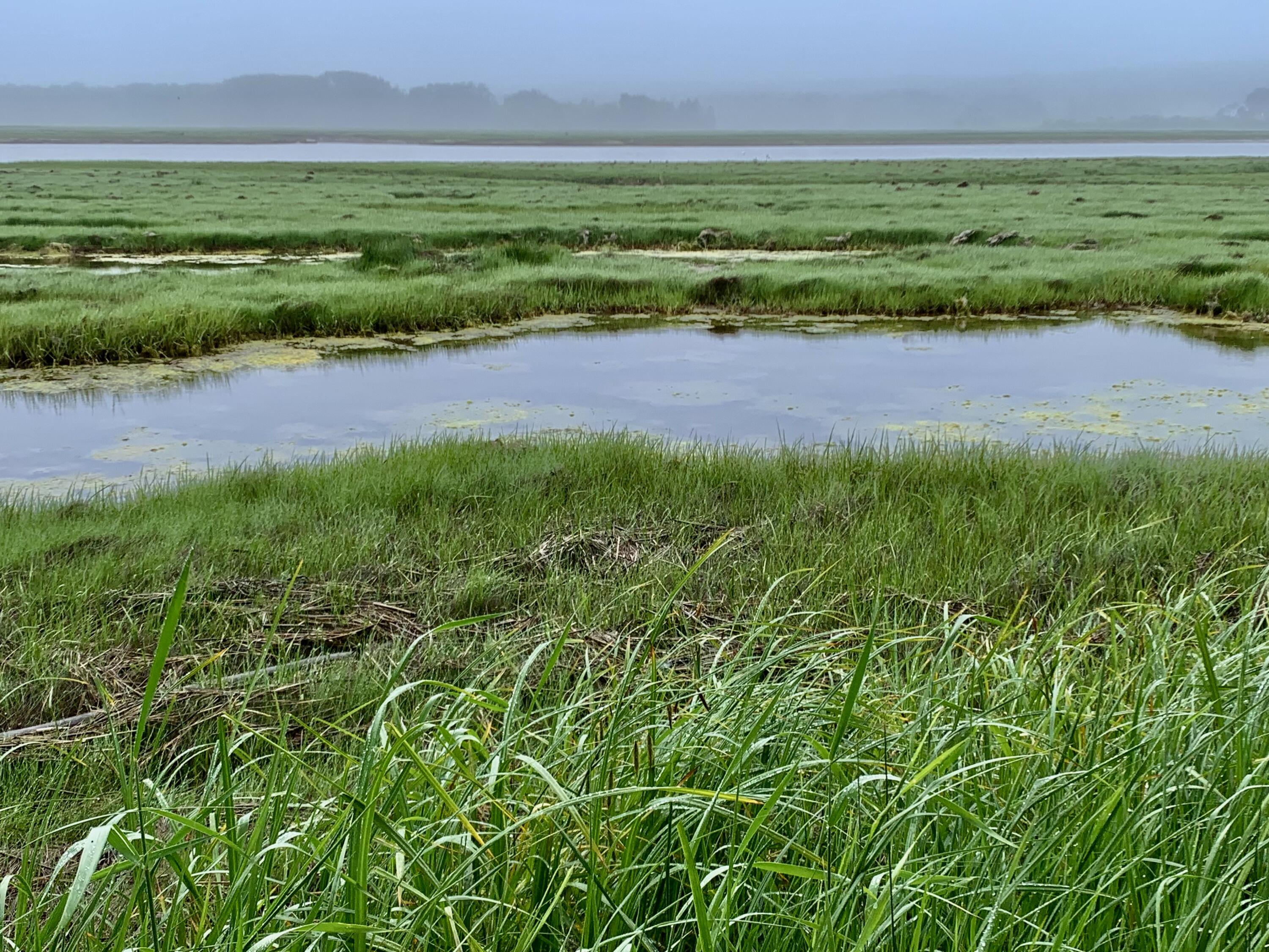 361 Water Street Addison, ME 04606 - Photo 25 of 80 IMG_8750