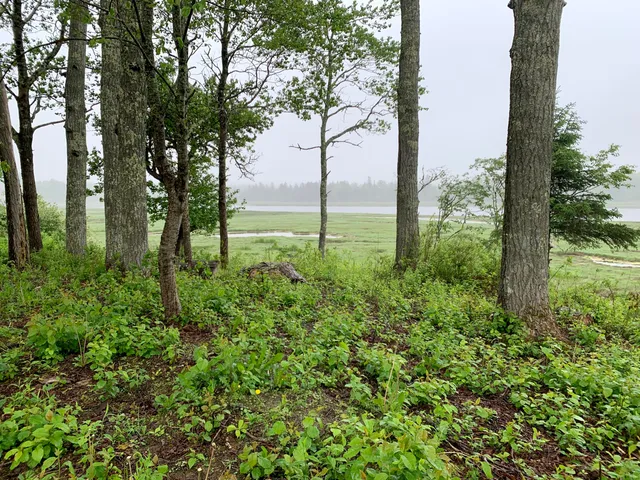 $397,000 | 361 Water Street, Addison, ME 04606