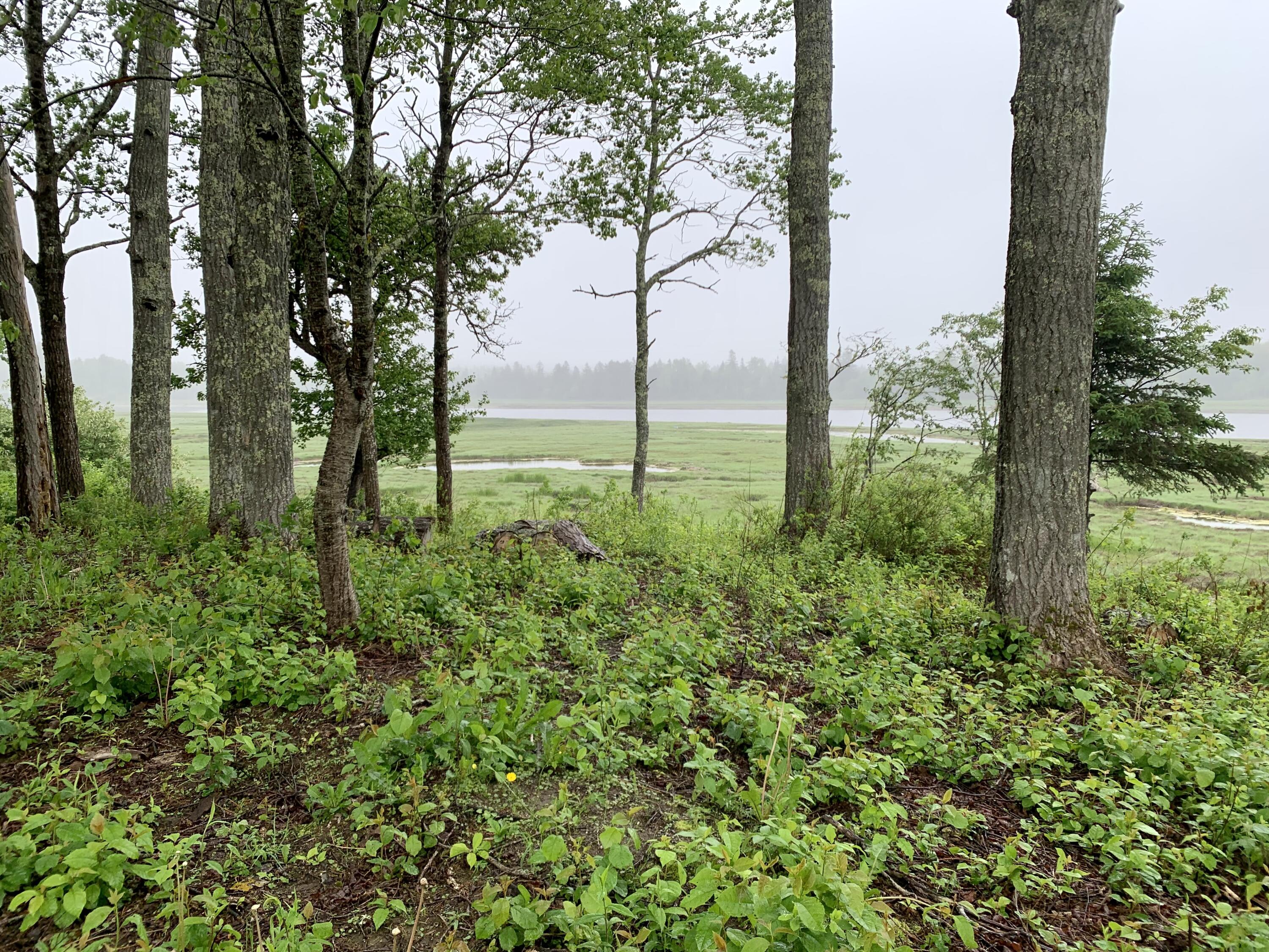 361 Water Street Addison, ME 04606 - Photo 69 of 80 IMG_8742