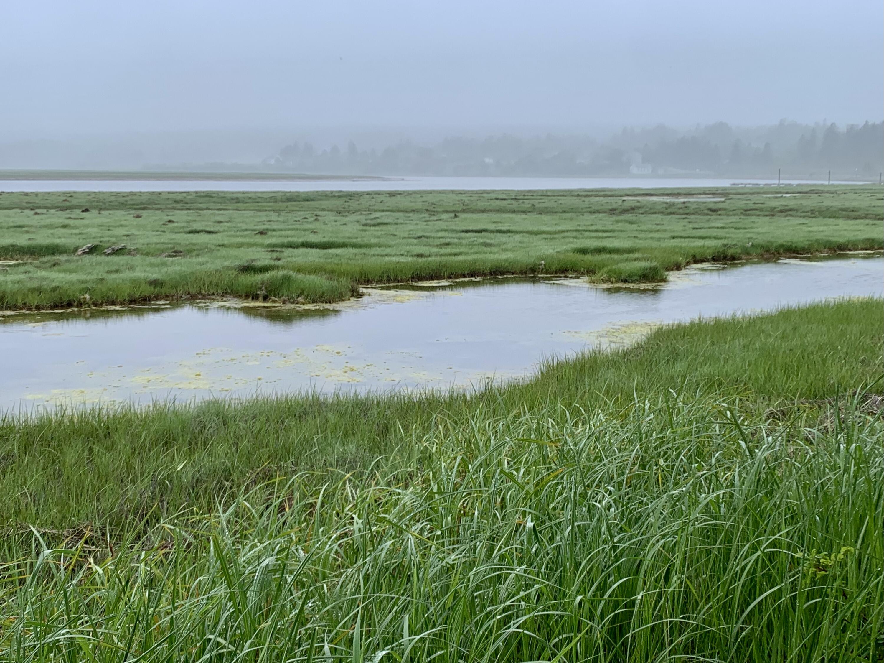 361 Water Street Addison, ME 04606 - Photo 70 of 80 IMG_8751