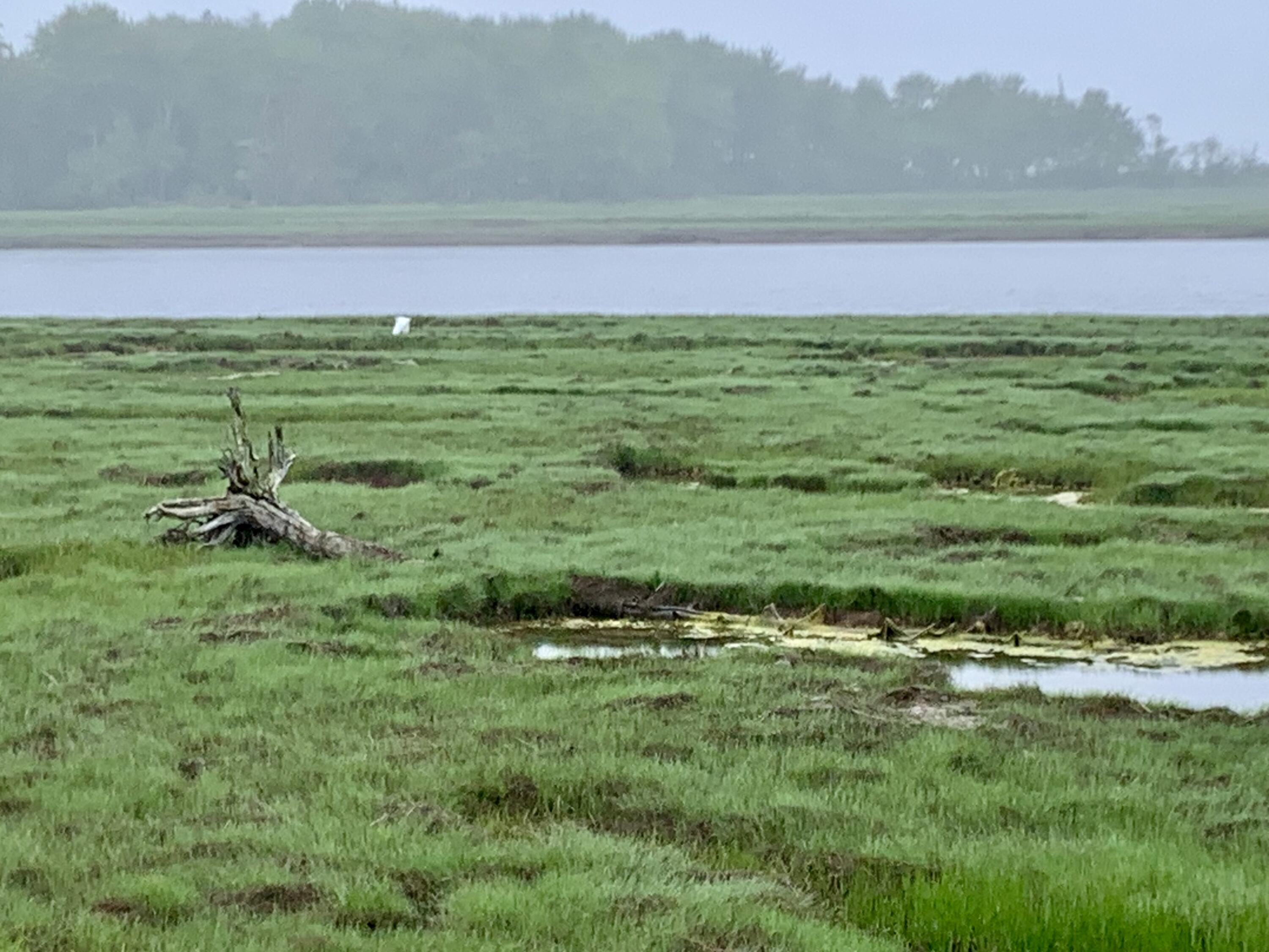 361 Water Street Addison, ME 04606 - Photo 71 of 80 IMG_8746