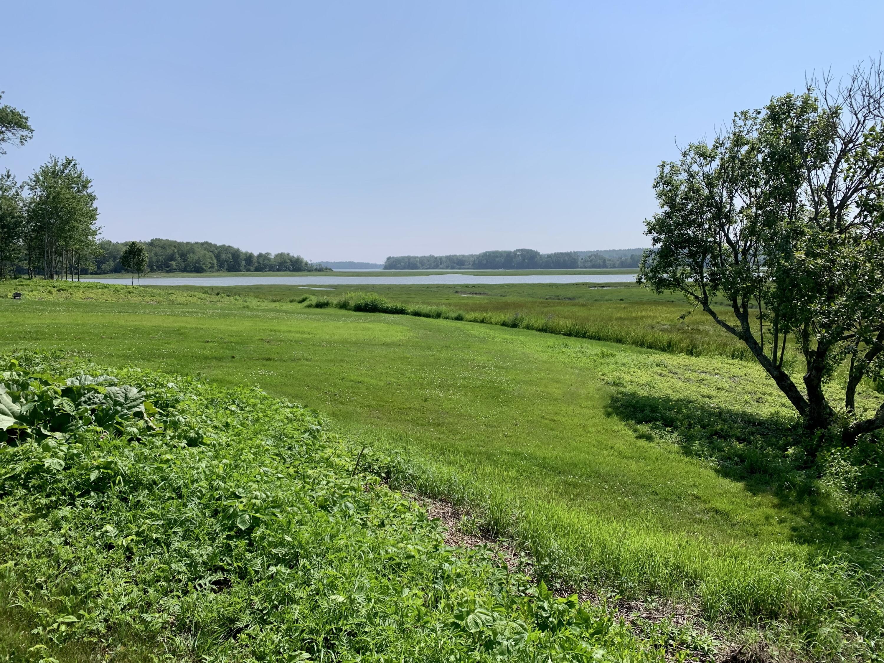 361 Water Street Addison, ME 04606 - Photo 78 of 80 IMG_9464