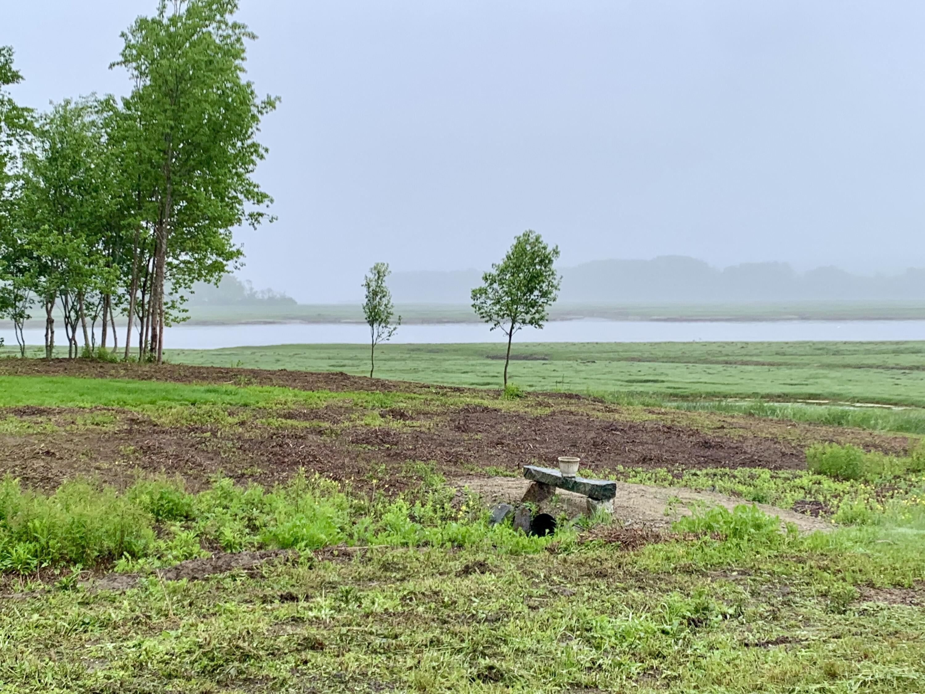 361 Water Street Addison, ME 04606 - Photo 8 of 80 IMG_8736