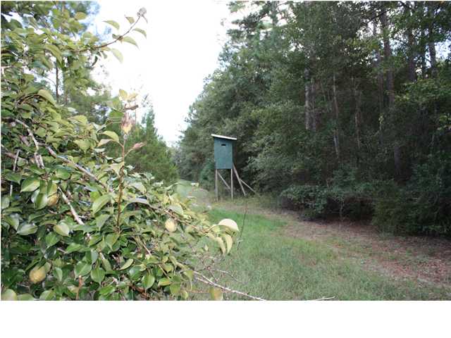 1780 Mount Cello Road Marianna, FL 32448 - Photo 1 of 1 Gallery Image 1