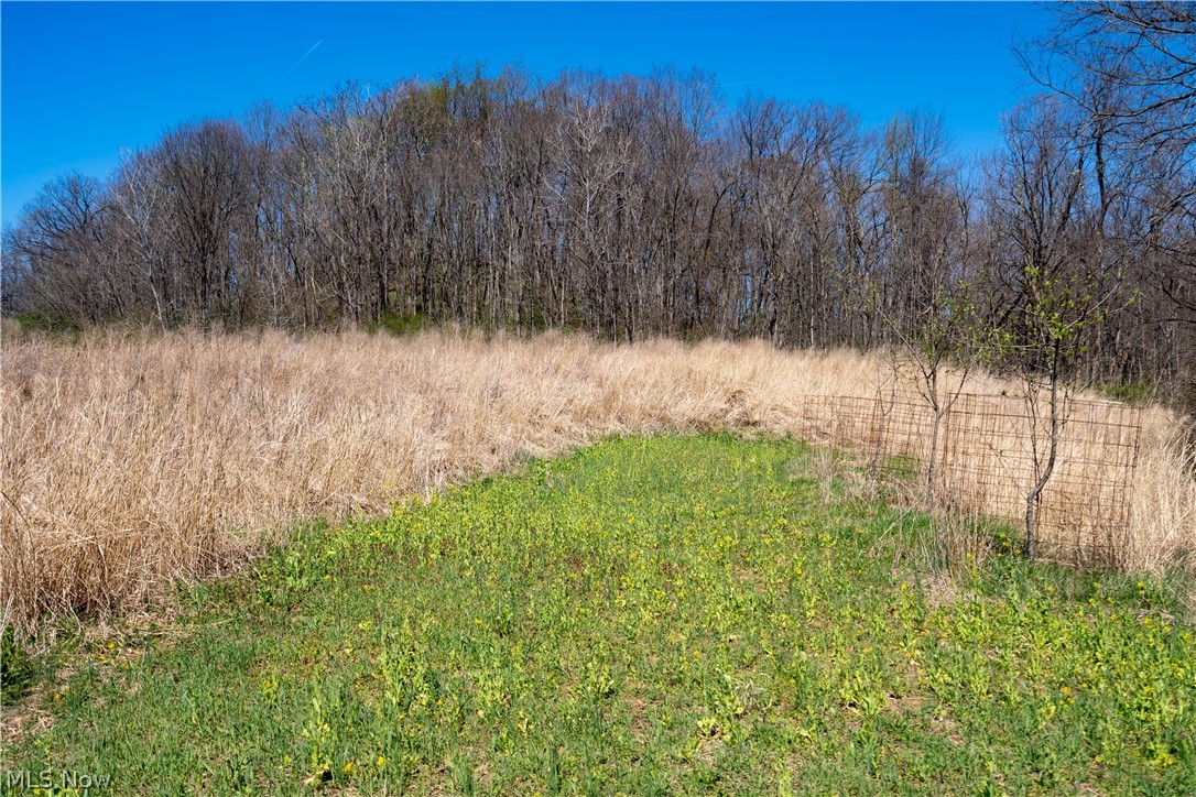 Sealover Hollow Rd Road Philo, OH 43771 - Photo 23 of 36