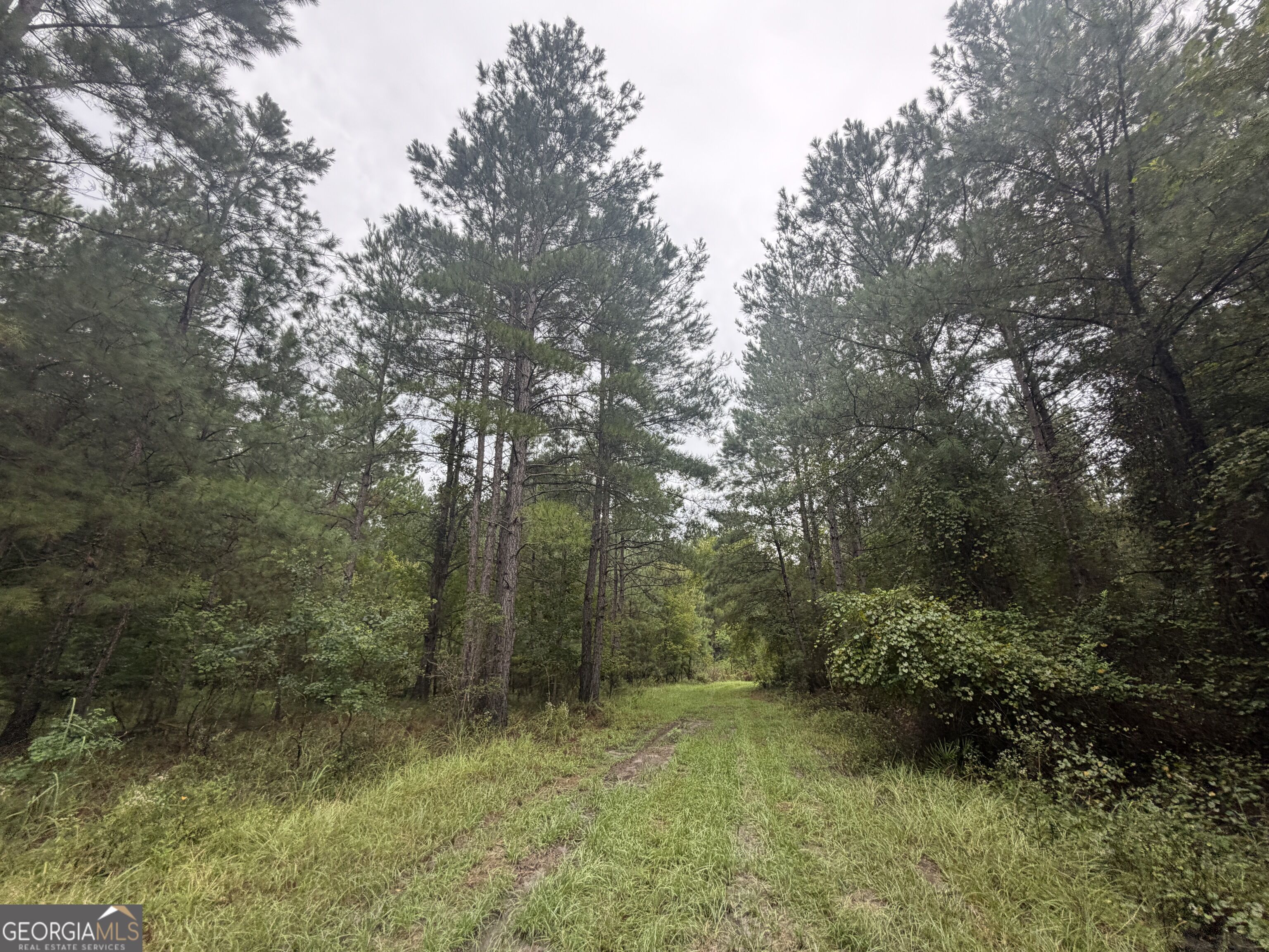 0 Jamestown Road Waycross, GA 31503 - Photo 26 of 92 Gallery Image 26
