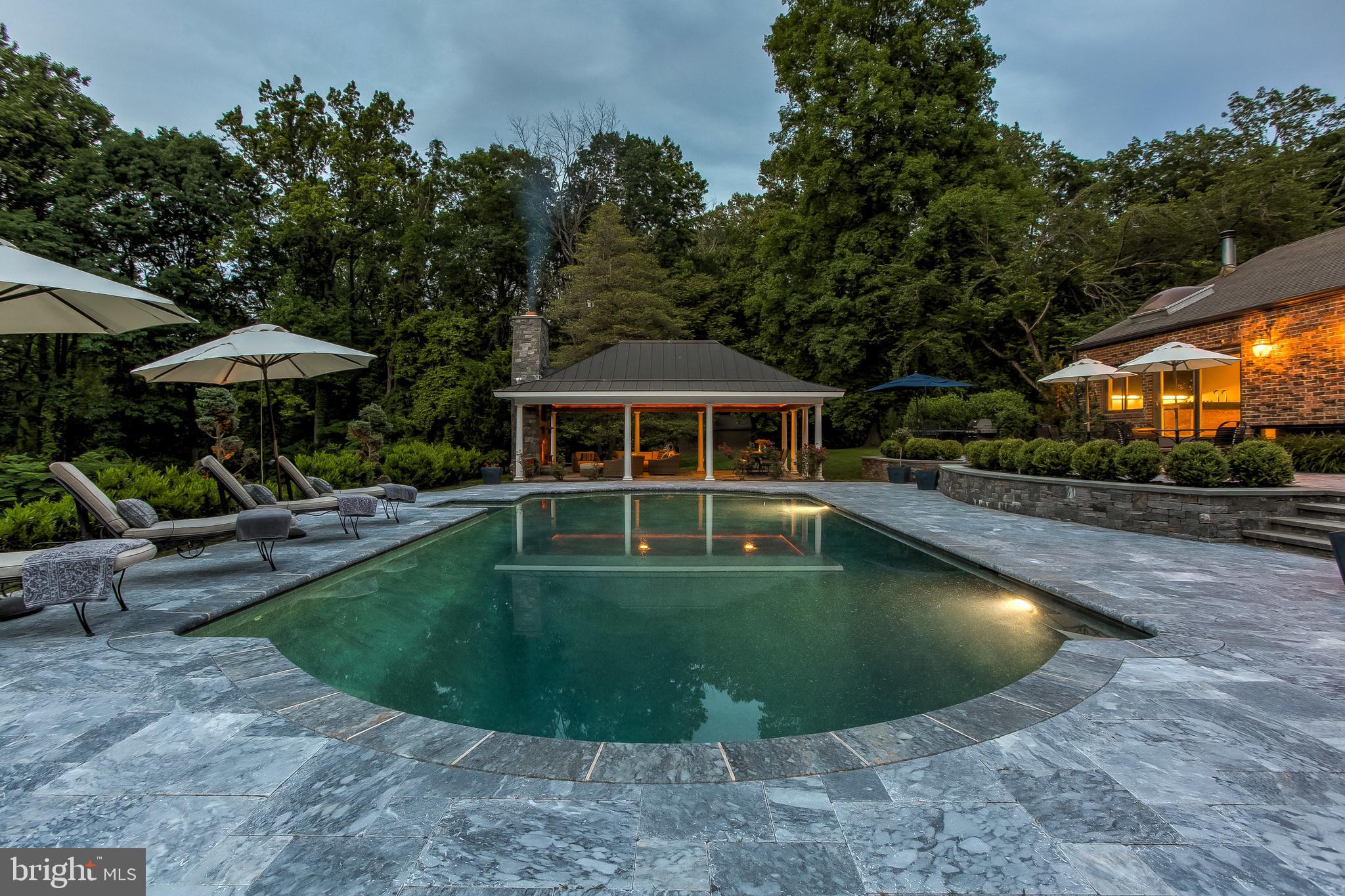 3000 Caves Road Owings Mills, MD 21117 - Photo 1 of 62 swim