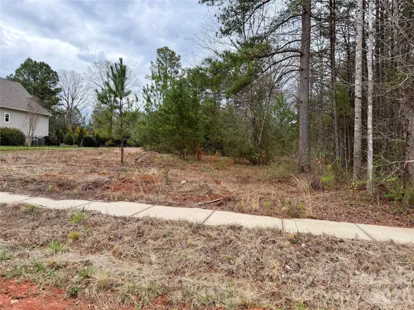 a view of a yard with trees in the background