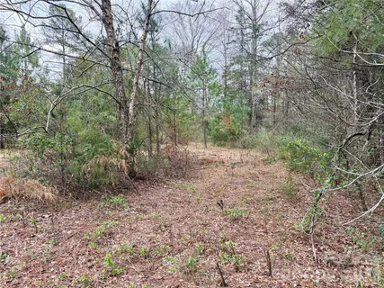 $100,000 | 3 Dola Ray Place, Unit 3, Stanley, NC 28164