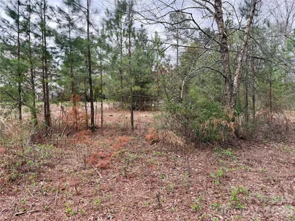 $100,000 | 3 Dola Ray Place, Unit 3, Stanley, NC 28164